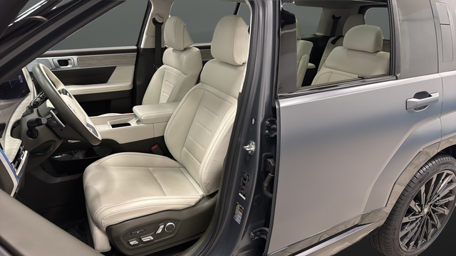Used 2025 Ecotronic Gray Matte Hyundai Calligraphy image 9