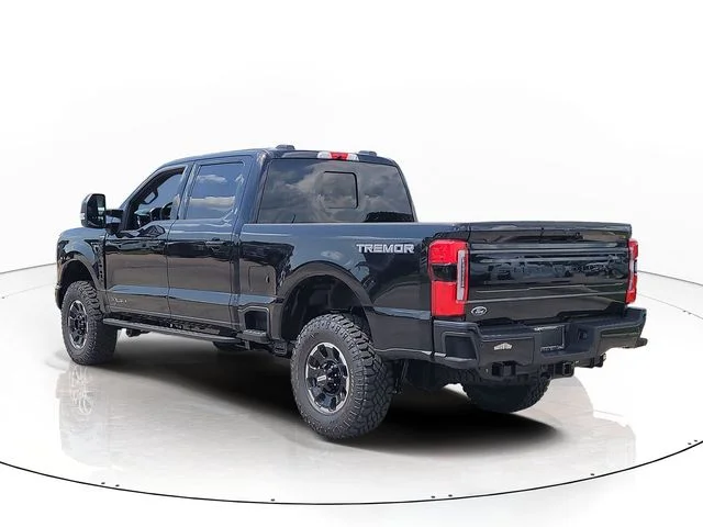 New 2026 Black Metallic Ford Platinum image 6