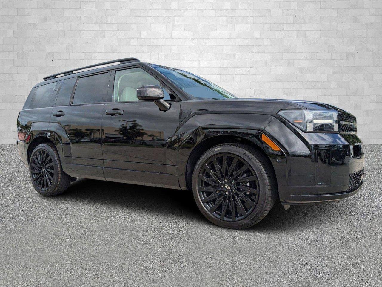 New 2025 Phantom Black Hyundai Calligraphy AWD image 65