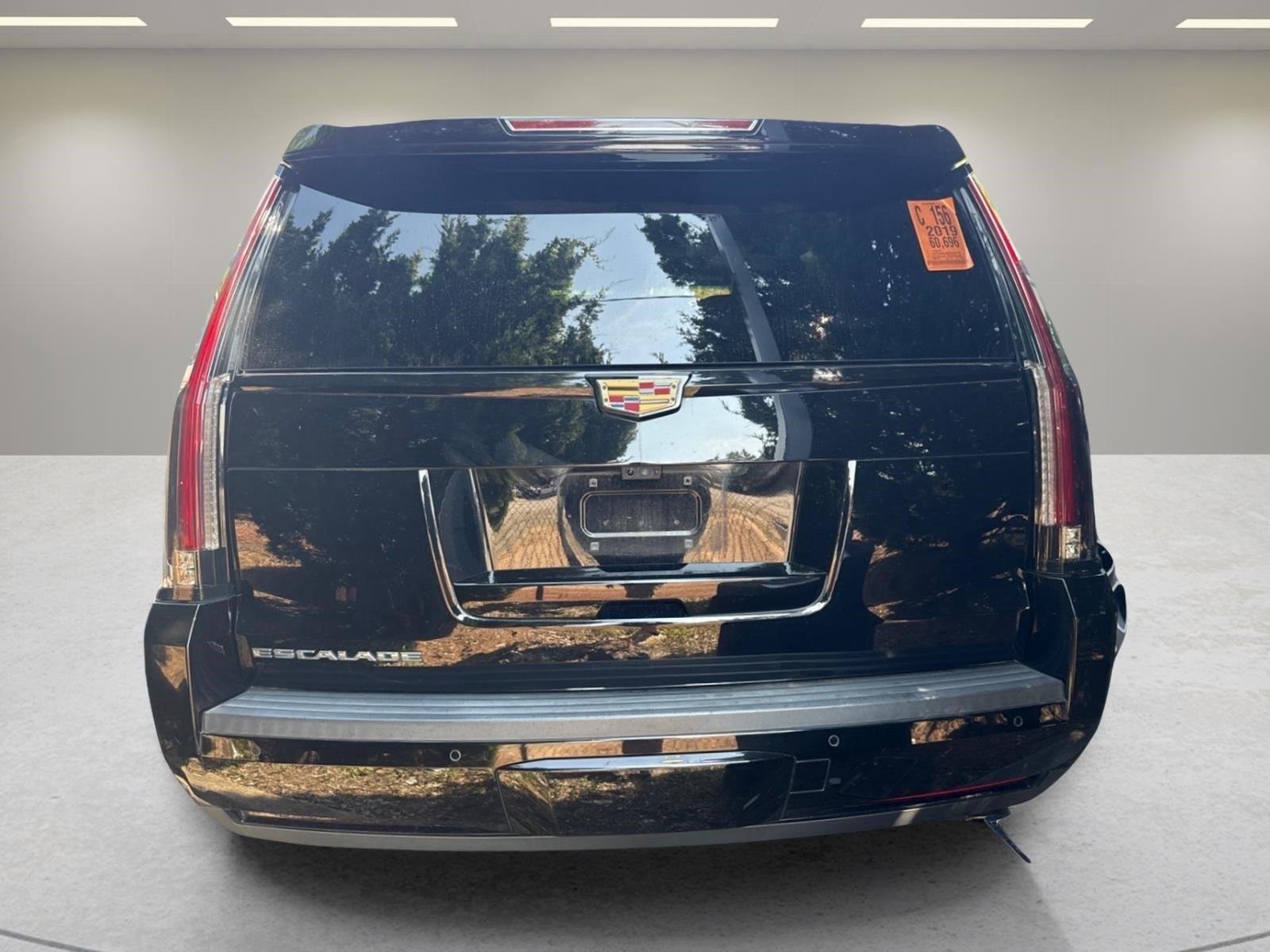 Used 2019 Black Raven Cadillac Platinum image 10