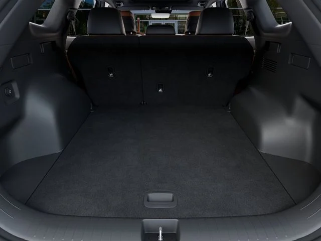 New 2026 Black Kia X-Line image 19
