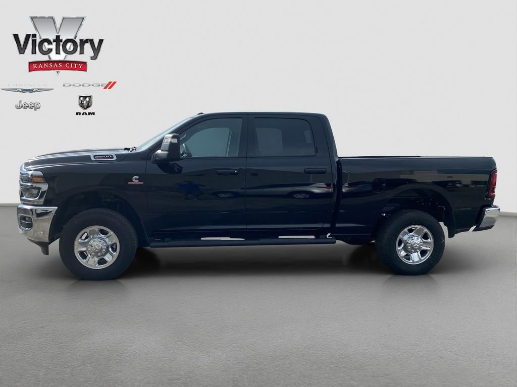 Used 2025 Black Ram Tradesman image 4