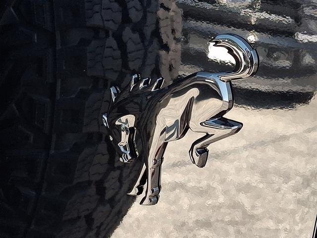 New 2026 Shadow Black Ford Badlands® image 40