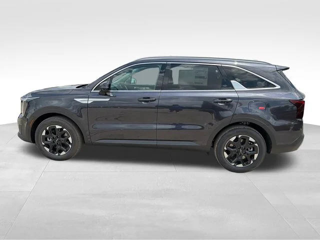 New 2026 Panthera Metal Kia S image 4