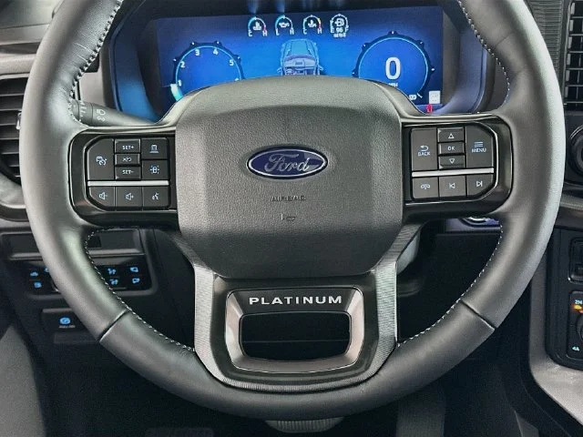 New 2026 Black Ford Platinum image 14
