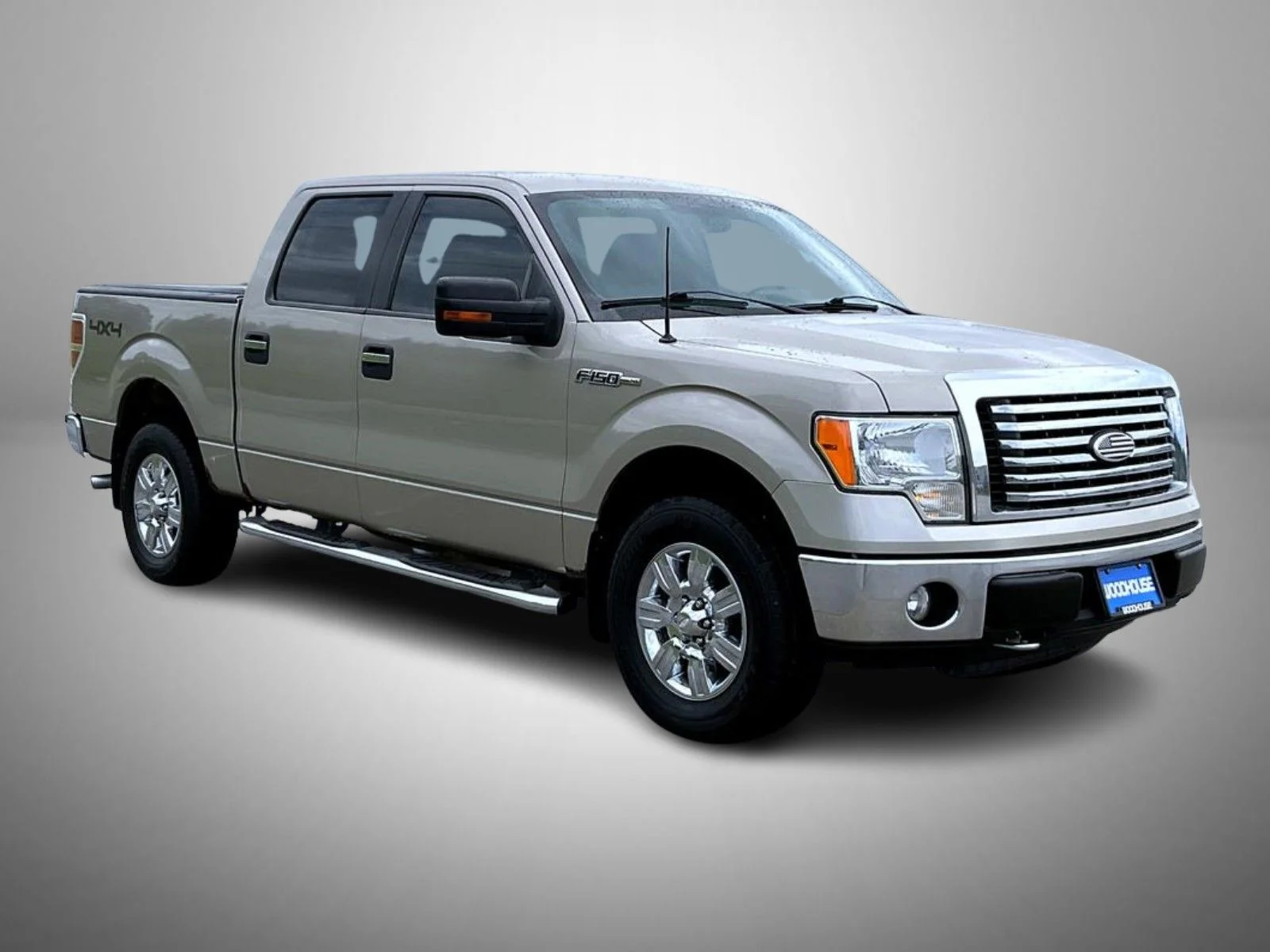 Used 2010 Gold Ford XLT image 3