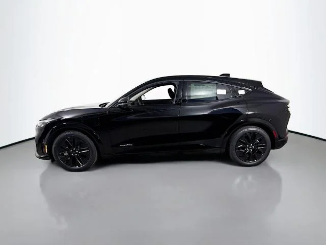 New 2026 Shadow Black Ford Premium image 38