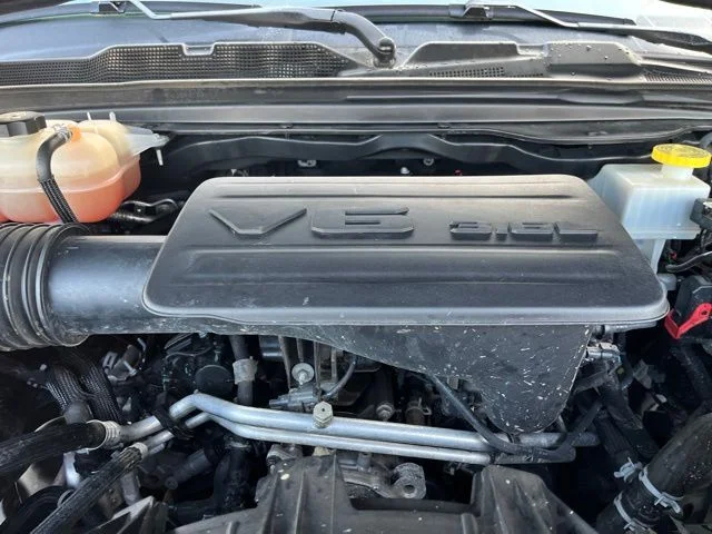 Photo 37