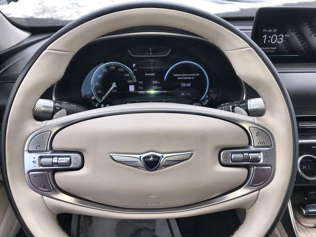 Used 2024 Gray Genesis 3.5T image 14