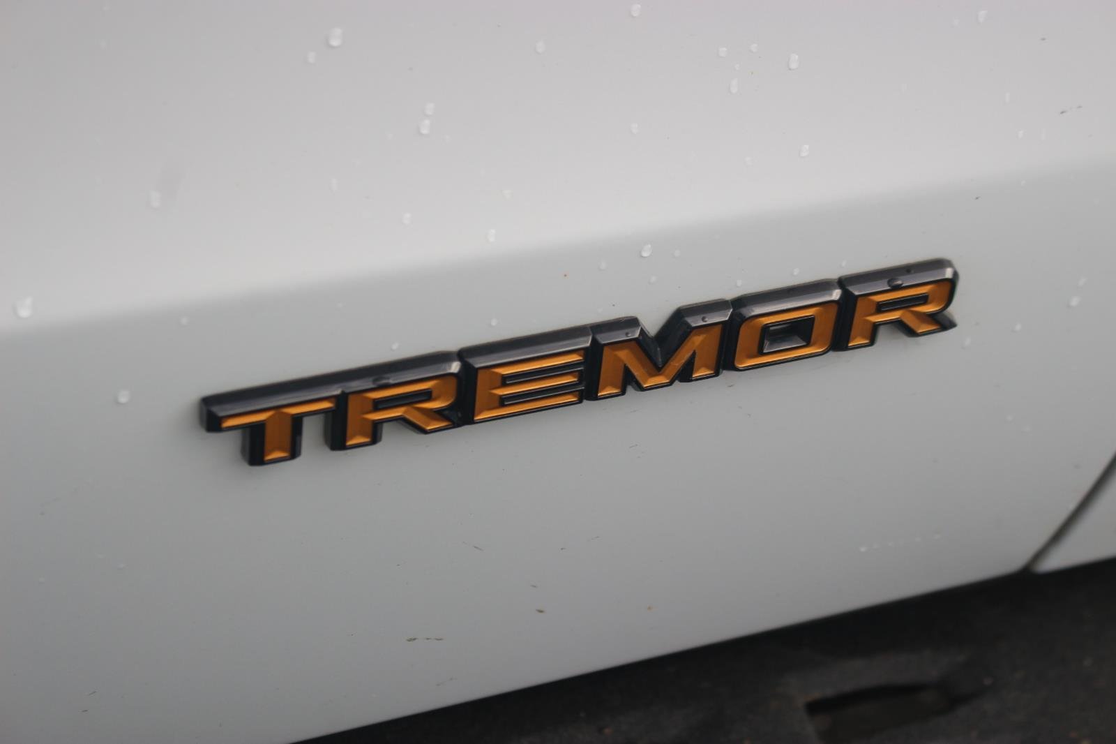Used 2025 Space Silver Ford Tremor image 11