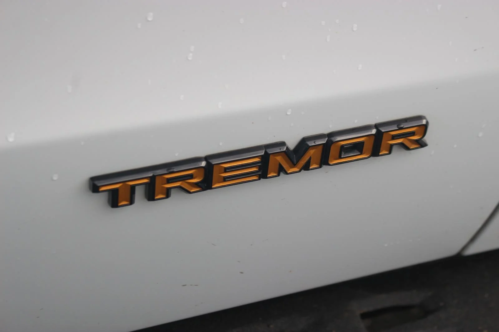 Used 2025 White Ford Tremor image 11
