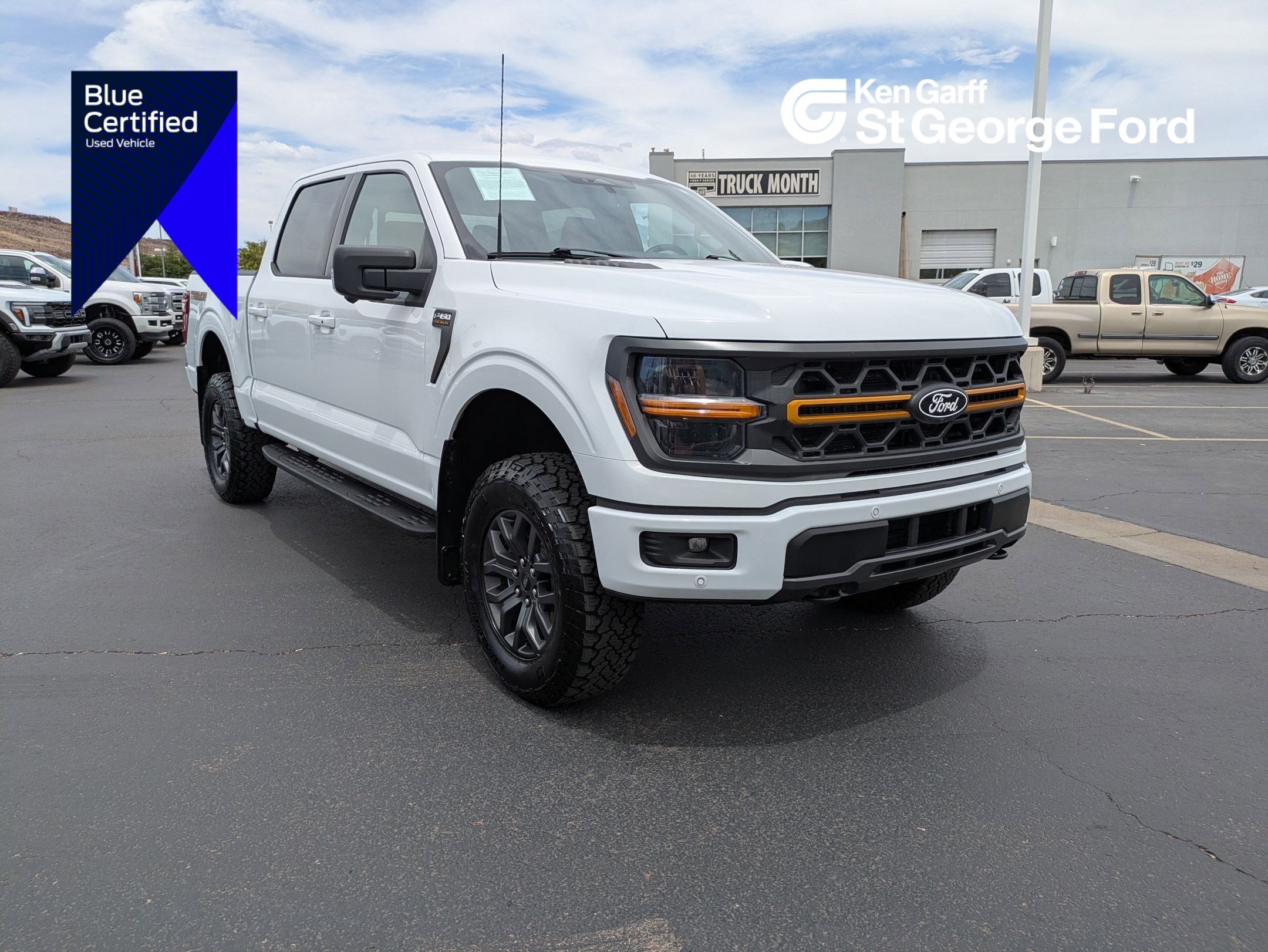 2025 Ford F-150 Tremor 4x4 SuperCrew 145 in's photo