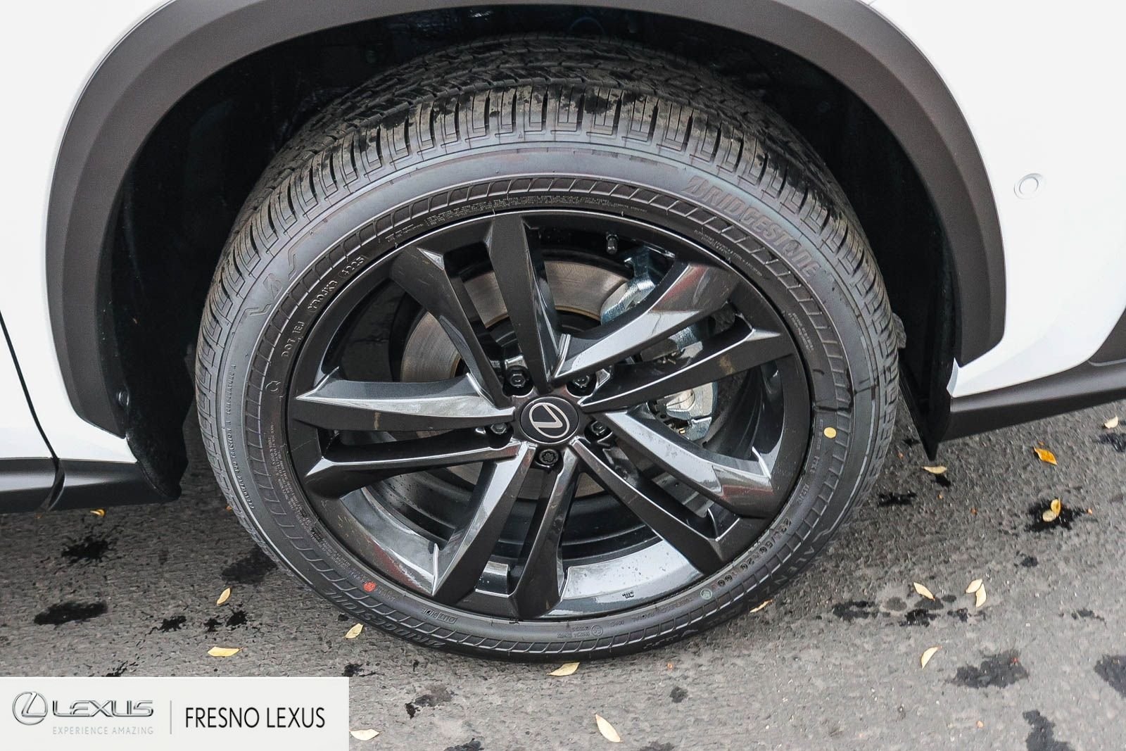 2026 Lexus NX 450h+ Luxury - Photo 9