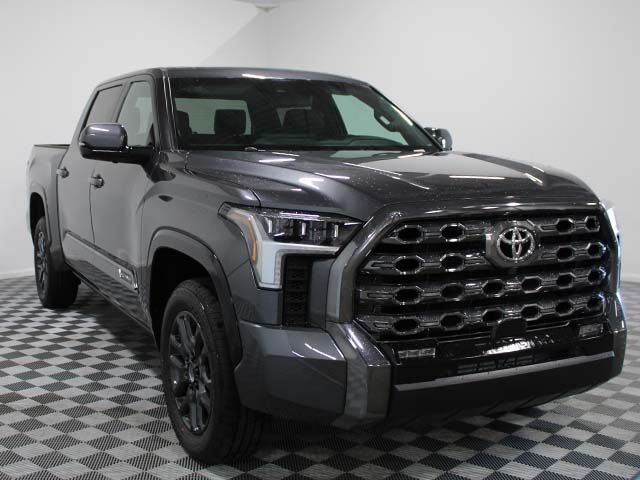 New 2026 Magnetic Gray Metallic Toyota  Platinum image 3