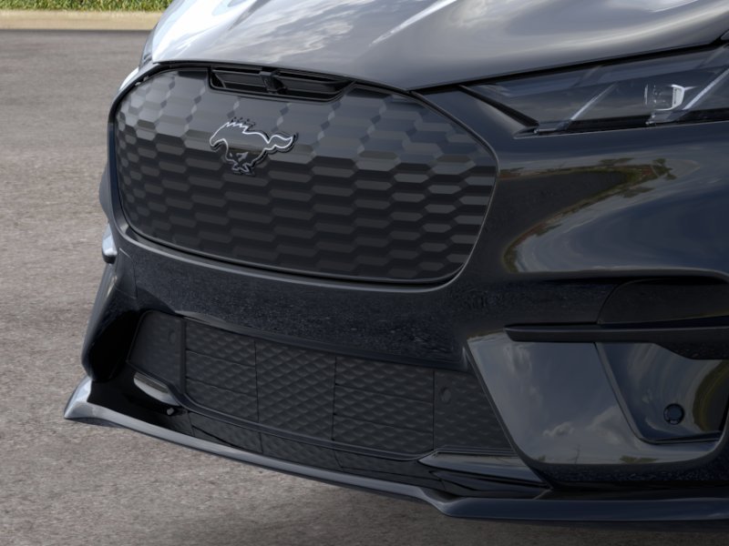 New 2026 Shadow Black Ford Premium image 17