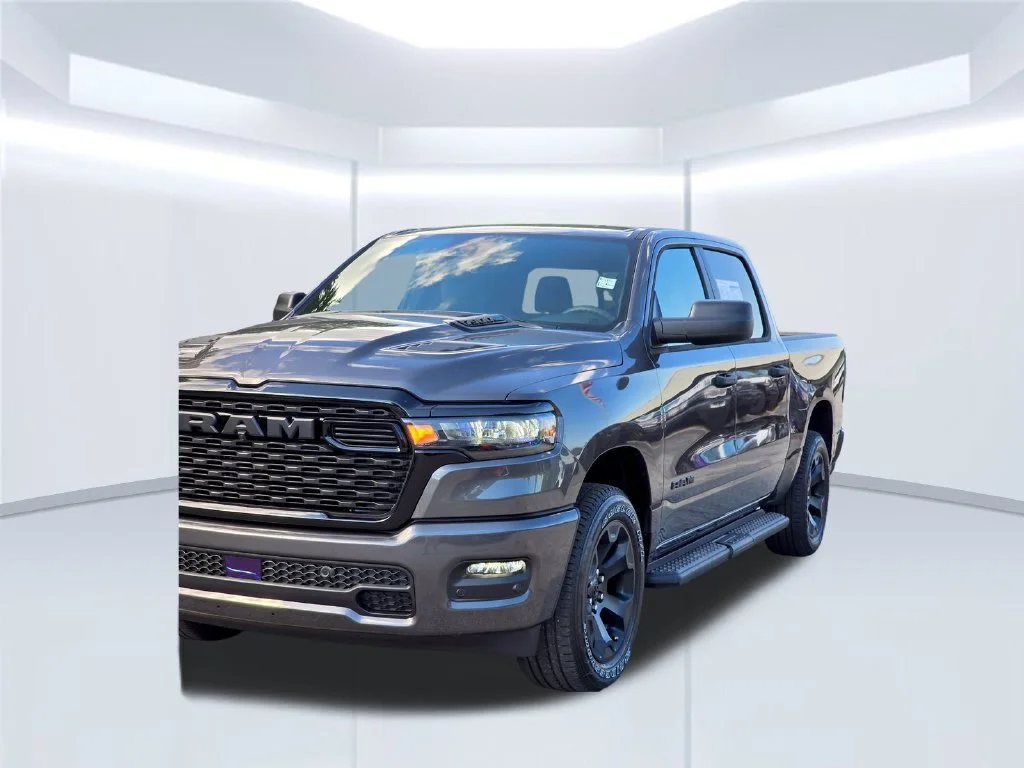 New 2026 Gray Ram Express image 42