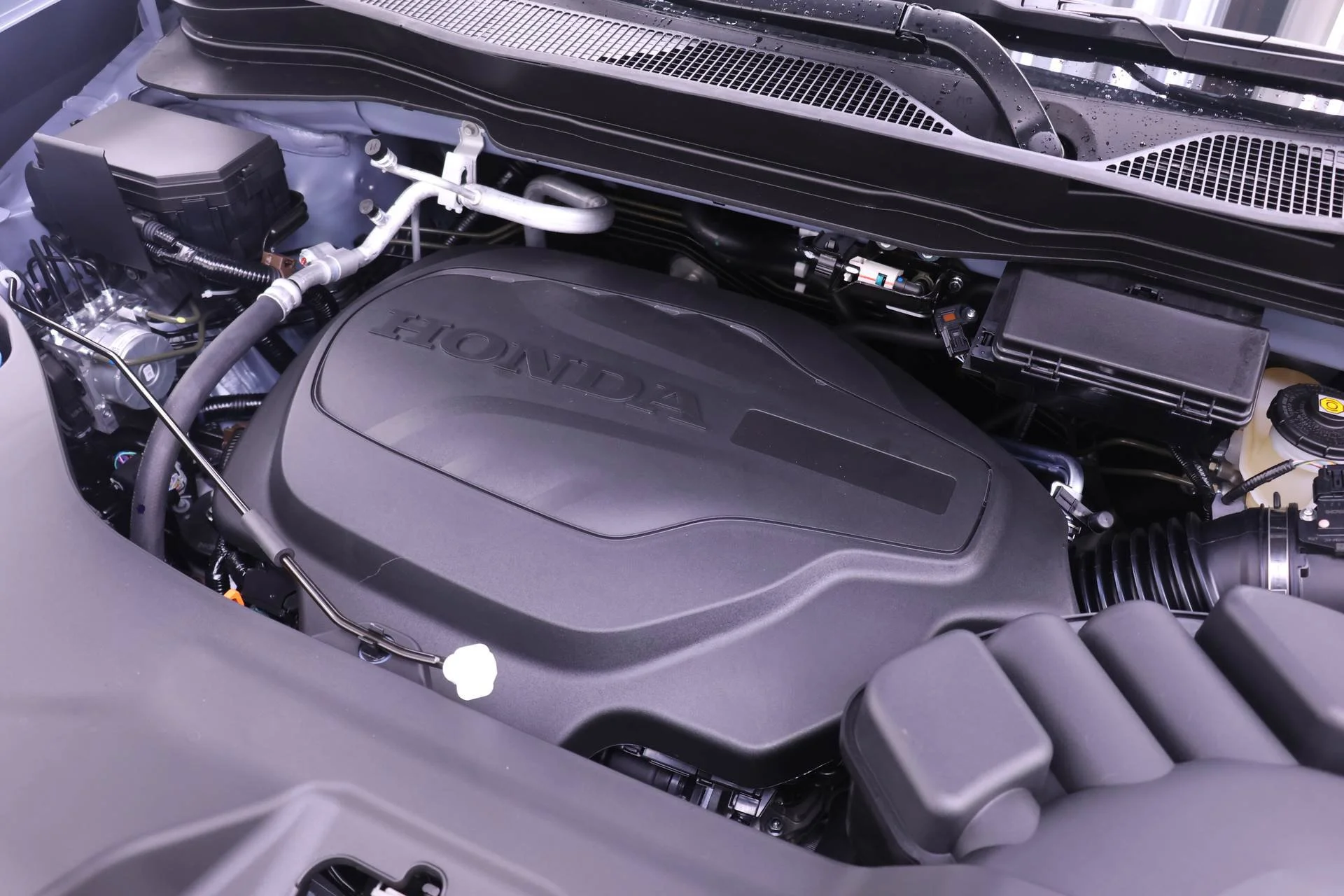 New 2026 Gray Honda Black Edition image 17