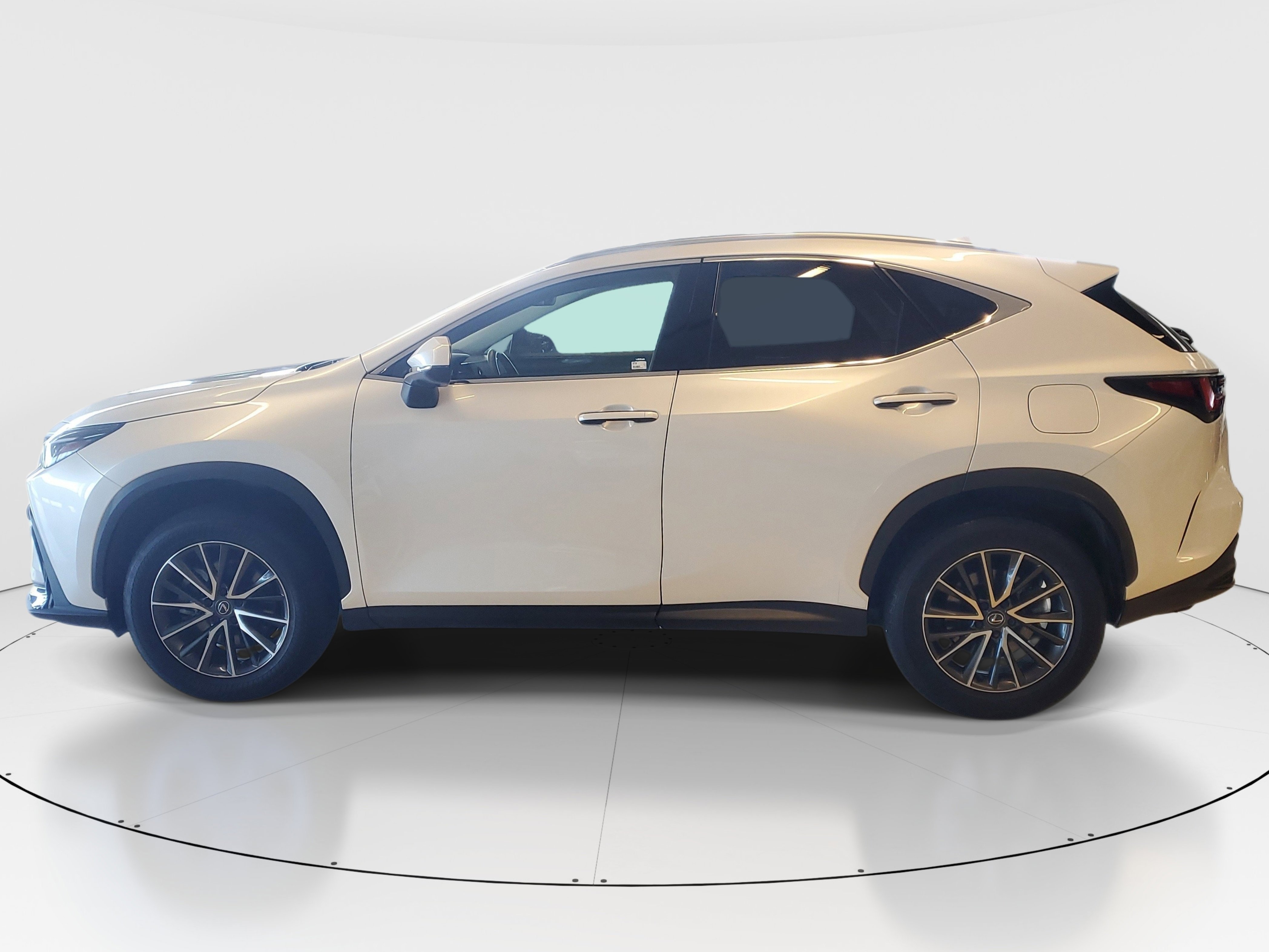 Used 2024 Eminent White Pearl Lexus NX 250 Premium image 8