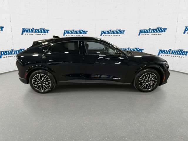 New 2026 Shadow Black Ford Premium image 13