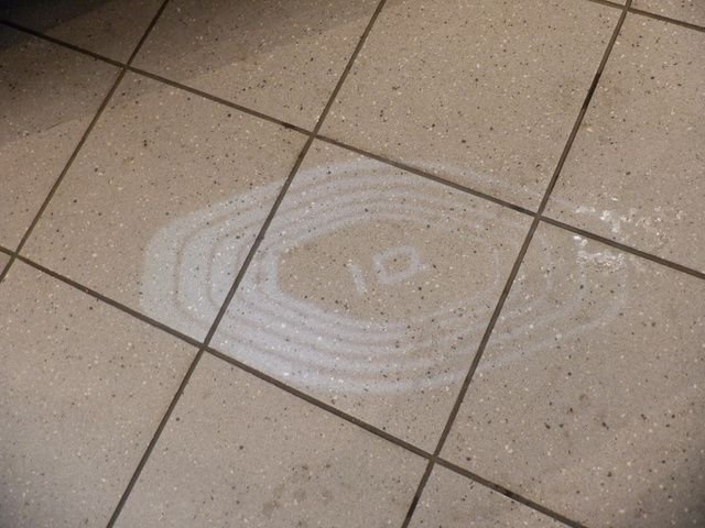 2025 Volkswagen ID. Buzz 1st Edition - Photo 19