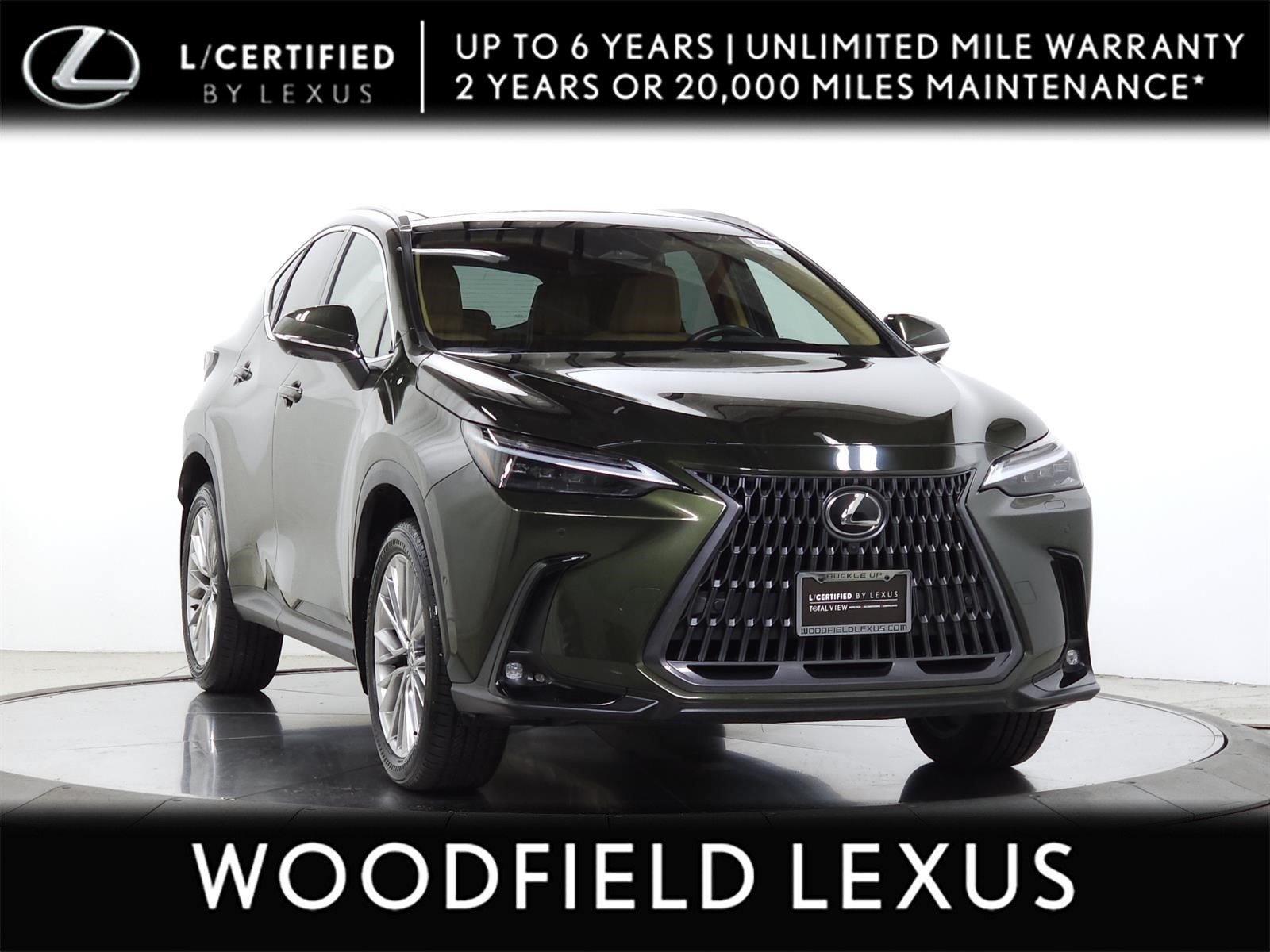 2025 Lexus NX