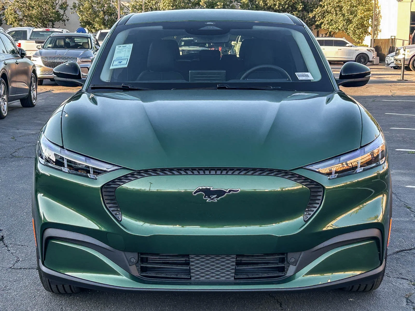 New 2026 Eruption Green Metallic Ford Select image 2