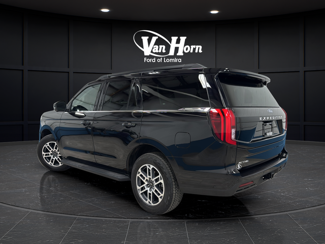 Used 2025 Agate Black Metallic Ford Active image 5
