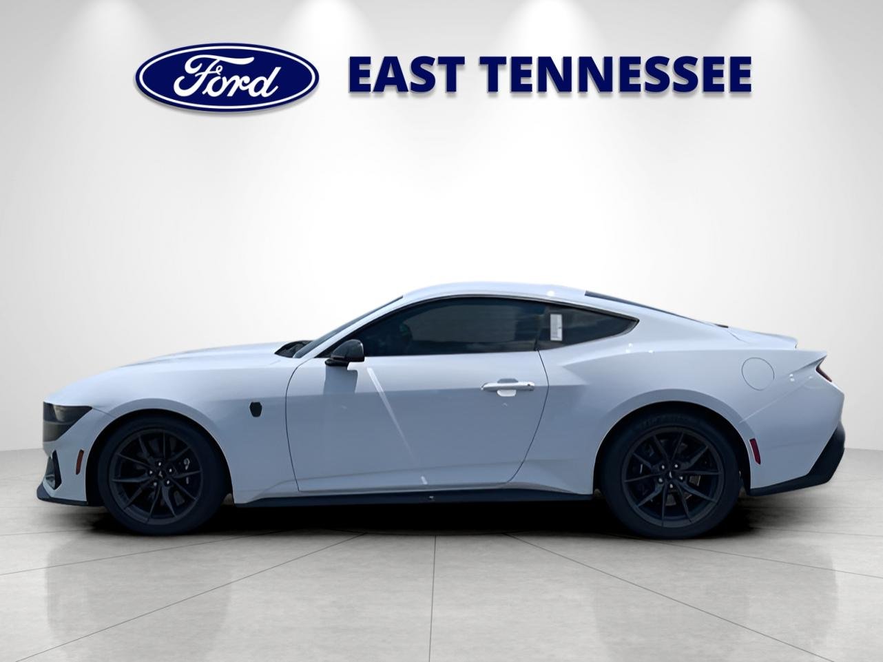 New 2025 Oxford White Ford Dark Horse image 6