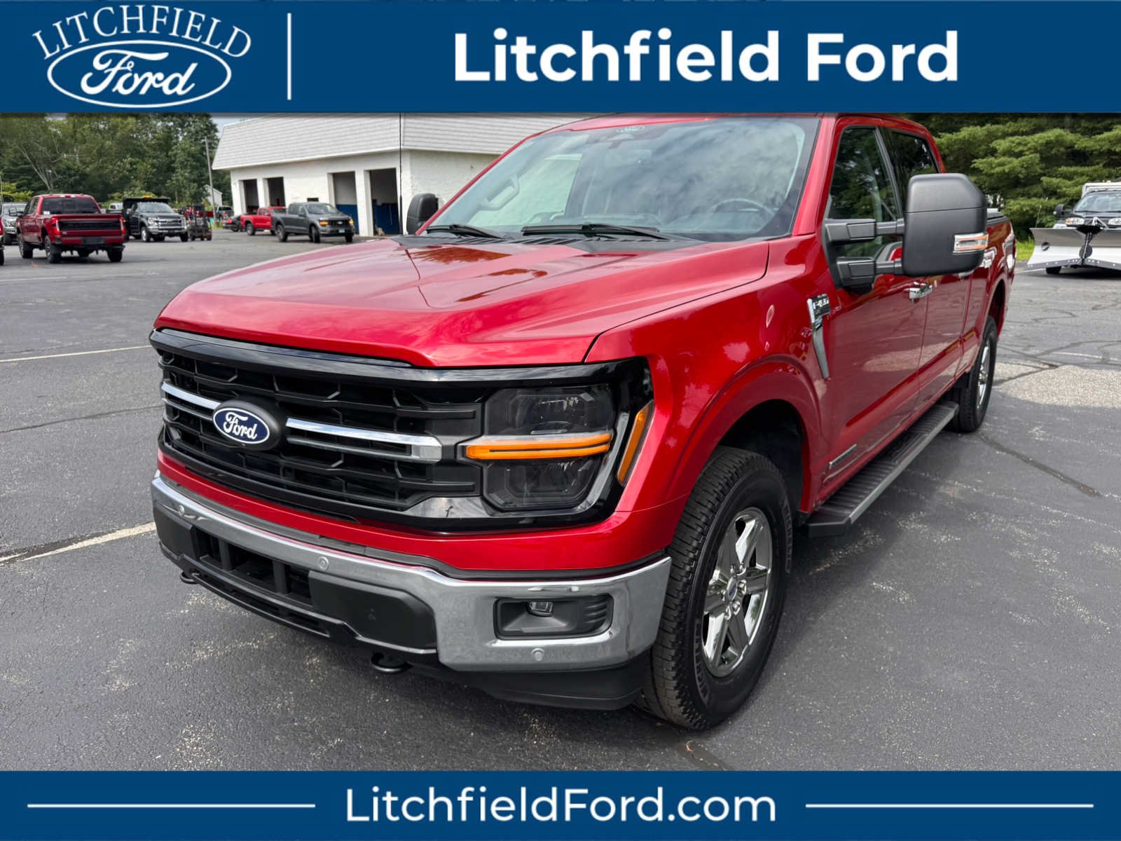 2025 Ford F-150 XLT