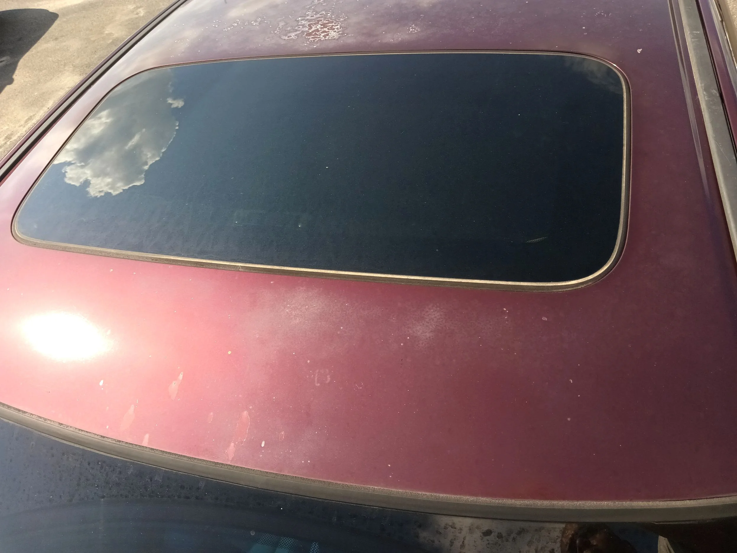 Used 2012 Maroon Honda EX-L V6 Sedan AT image 11