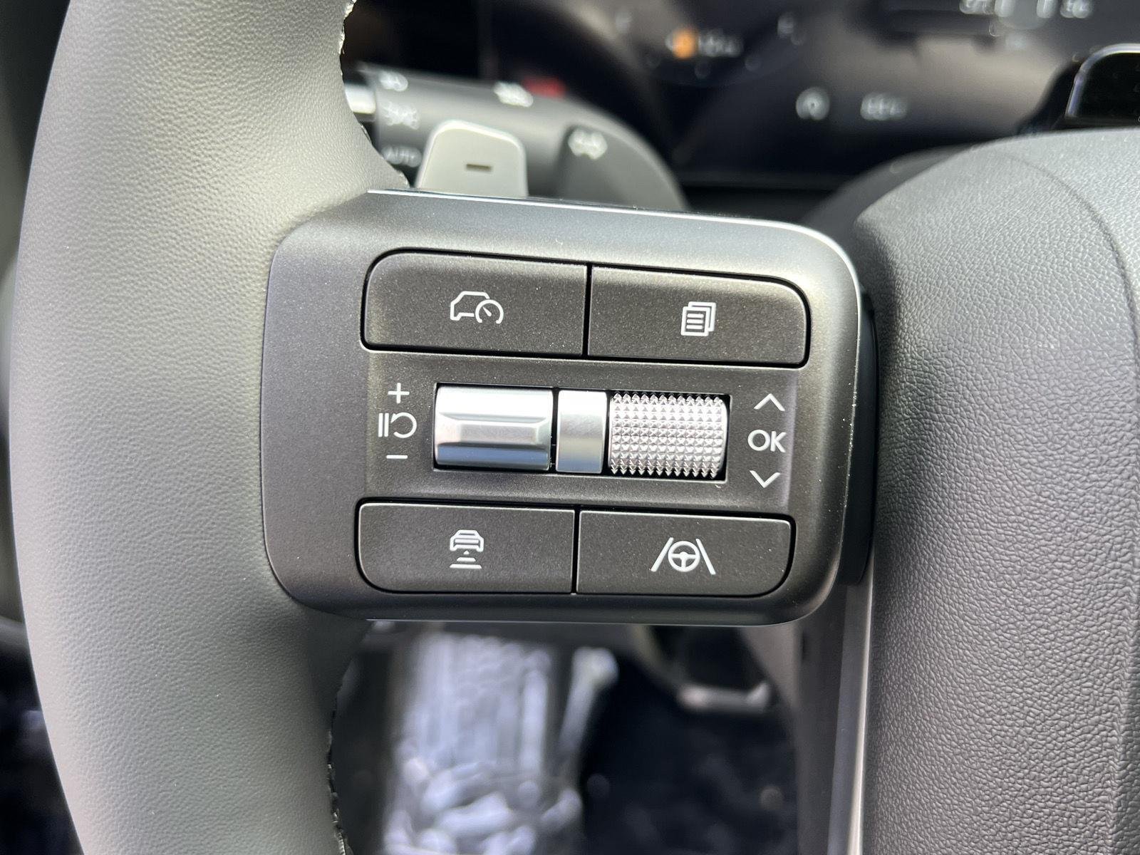 New 2027 Pacific Sapphire Pearl Hyundai SEL 8P image 32