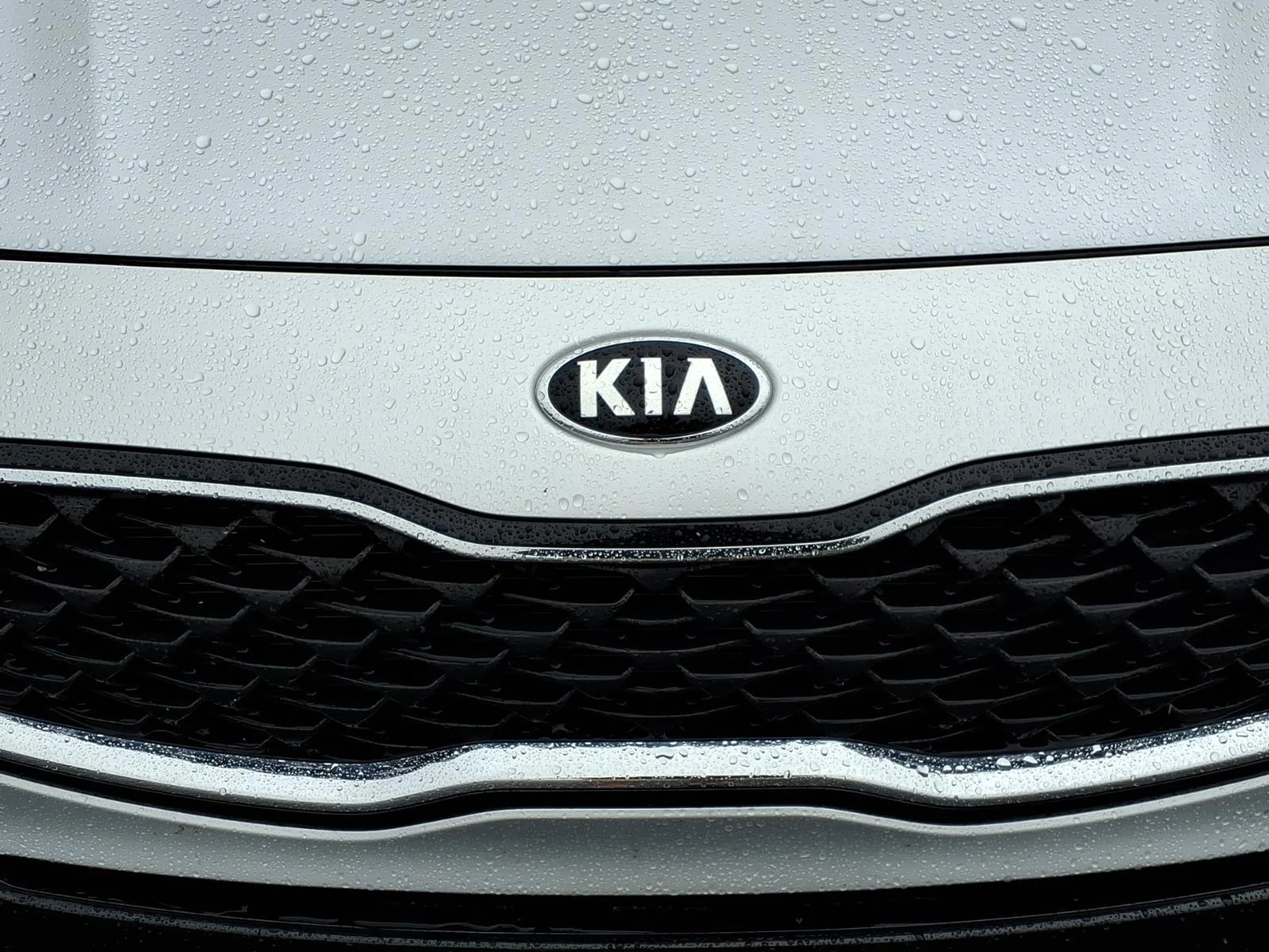 Used 2021 Snow White Pearl Kia LX image 14