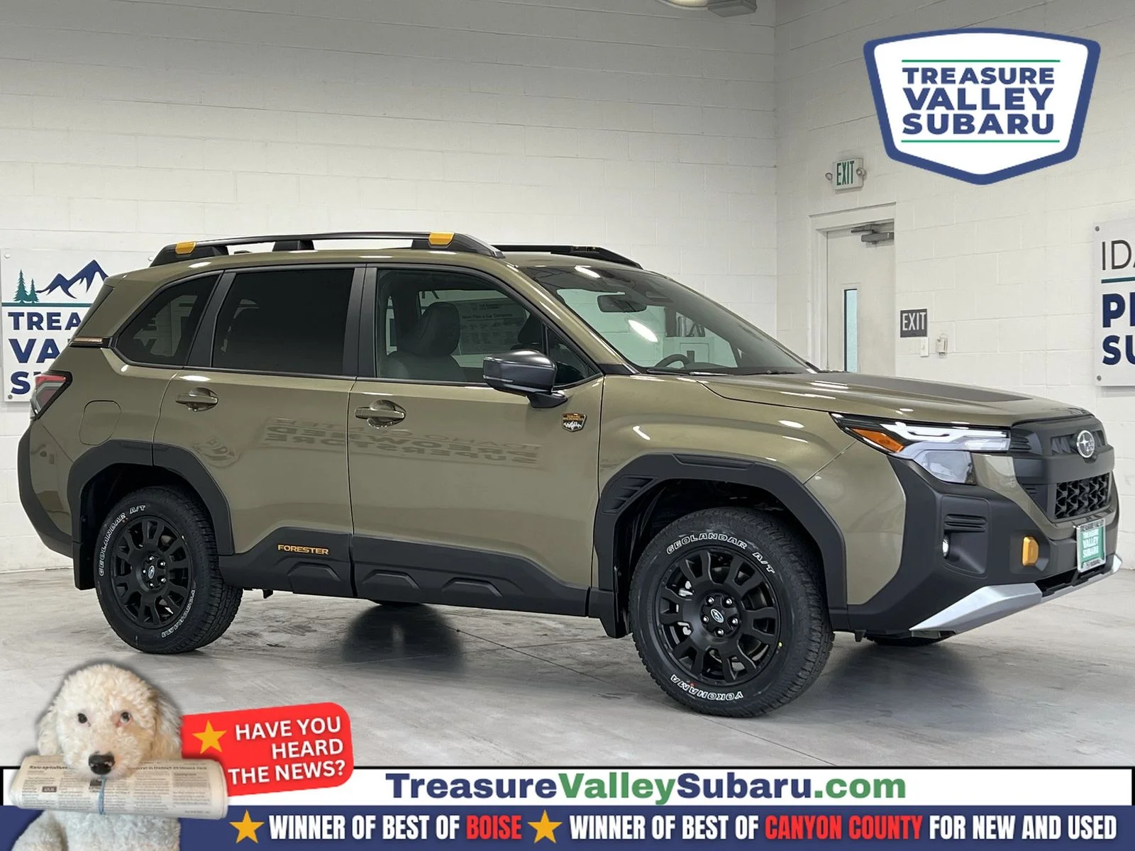 2026 Subaru Forester Wilderness's photo