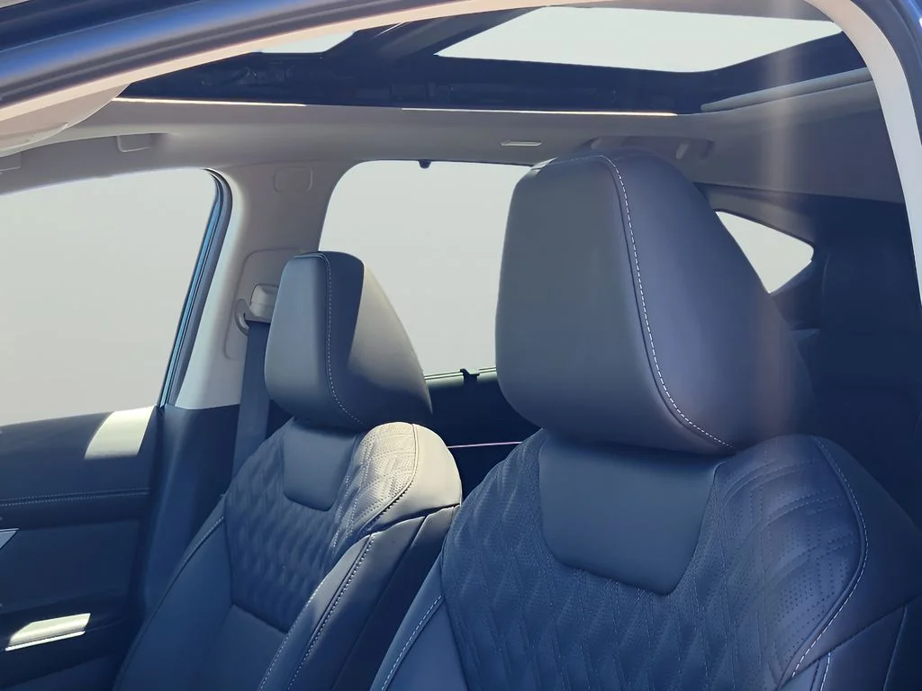 New 2026 Super Black Nissan Platinum image 23