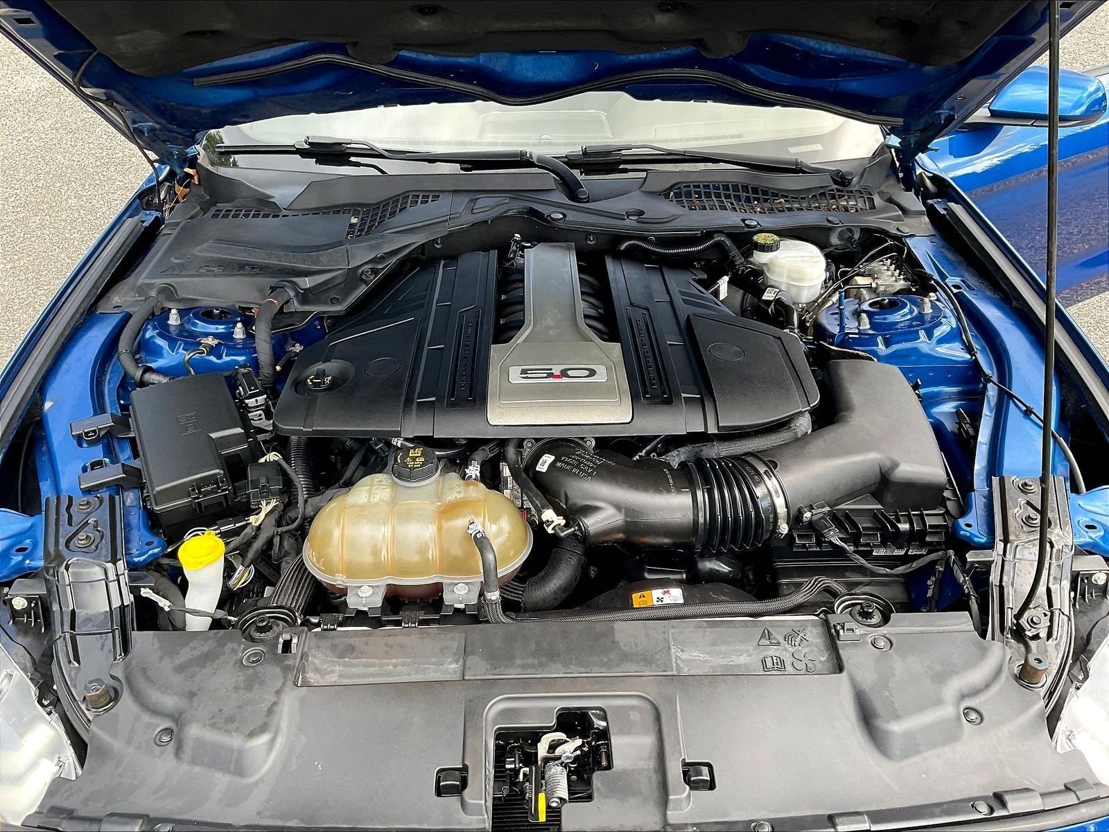 Used 2018 Blue Ford GT image 31