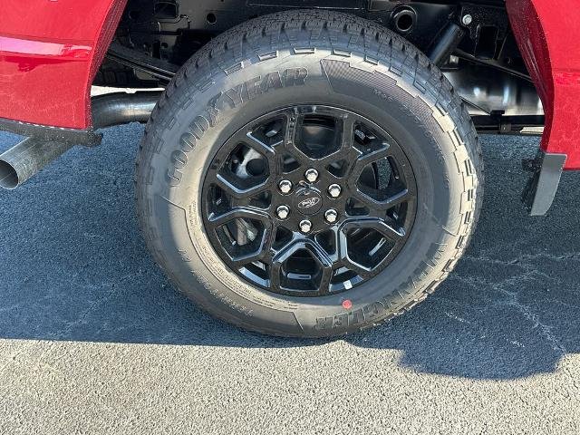 New 2025 Rapid Red Metallic Tinted Clearcoat Ford XLT image 17