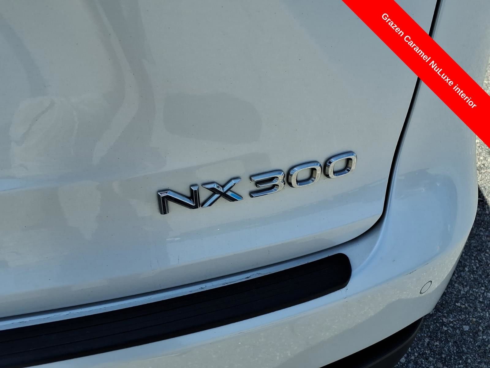 2019 Lexus NX 300 - Photo 9
