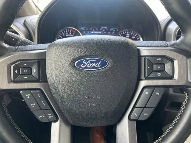 Used 2020 Agate Black Ford Platinum image 18