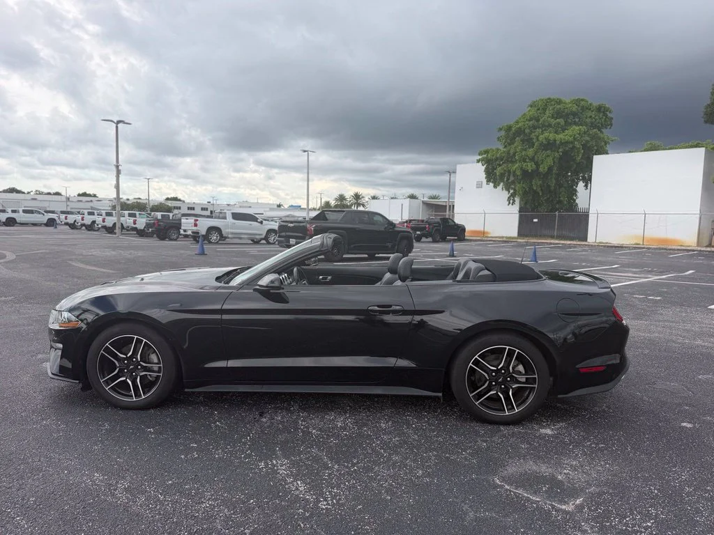 Used 2023 Black Ford EcoBoost Premium Convertible image 10
