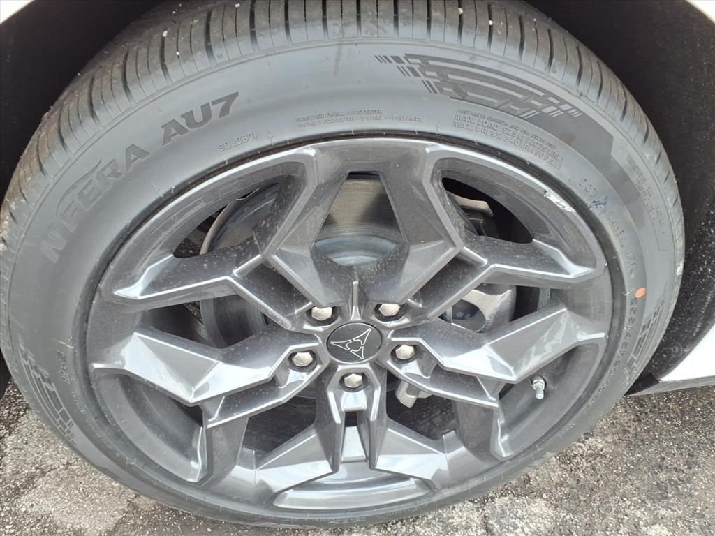 New 2026 White Knuckle Exterior Paint Dodge R/T image 5