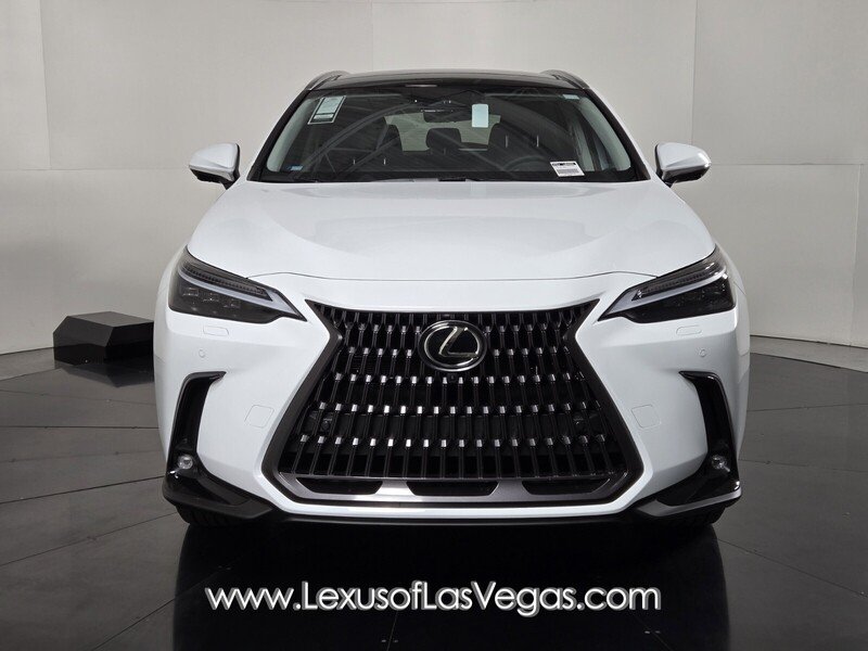 2026 Lexus NX 450h+ Luxury - Photo 8