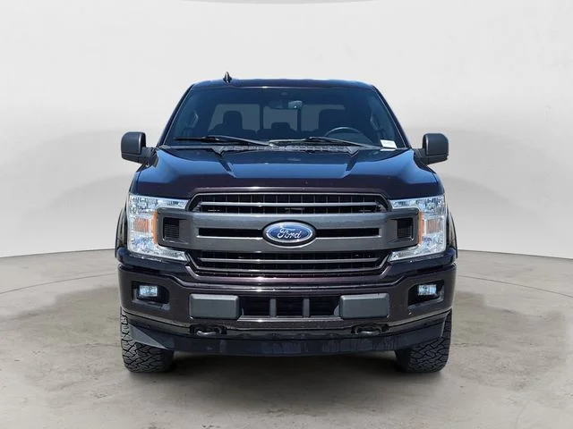 Used 2019 Magma Red Ford XLT image 8