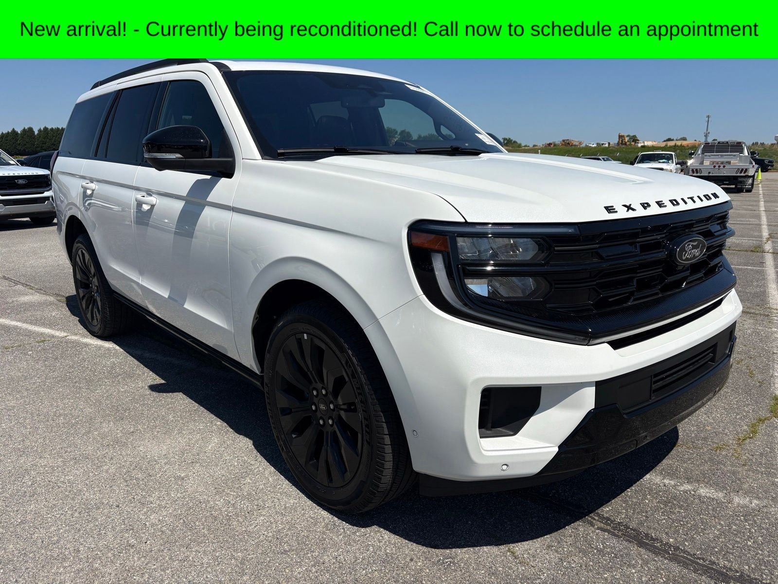 2025 Ford Expedition Platinum 4x4's photo