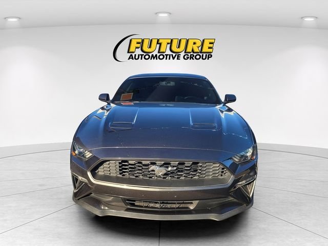 Used 2020 Gray Ford EcoBoost image 2