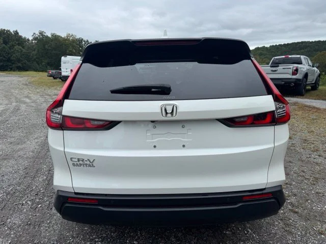 Used 2024  Honda EX-L image 6