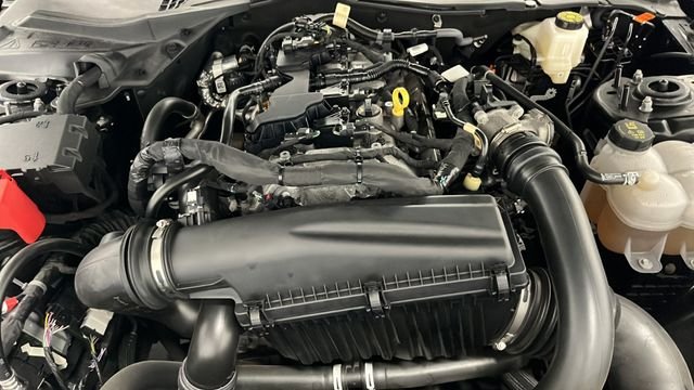 Used 2025 Shadow Black Ford EcoBoost Premium image 27