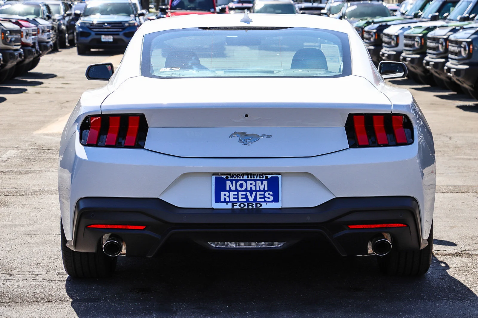 New 2026 Oxford White Ford EcoBoost® Fastback image 7