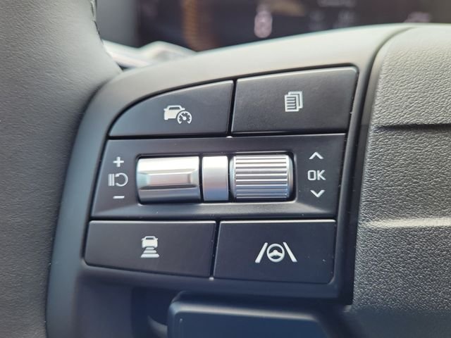 New 2026 Panthera Metal Gray Kia EX image 28