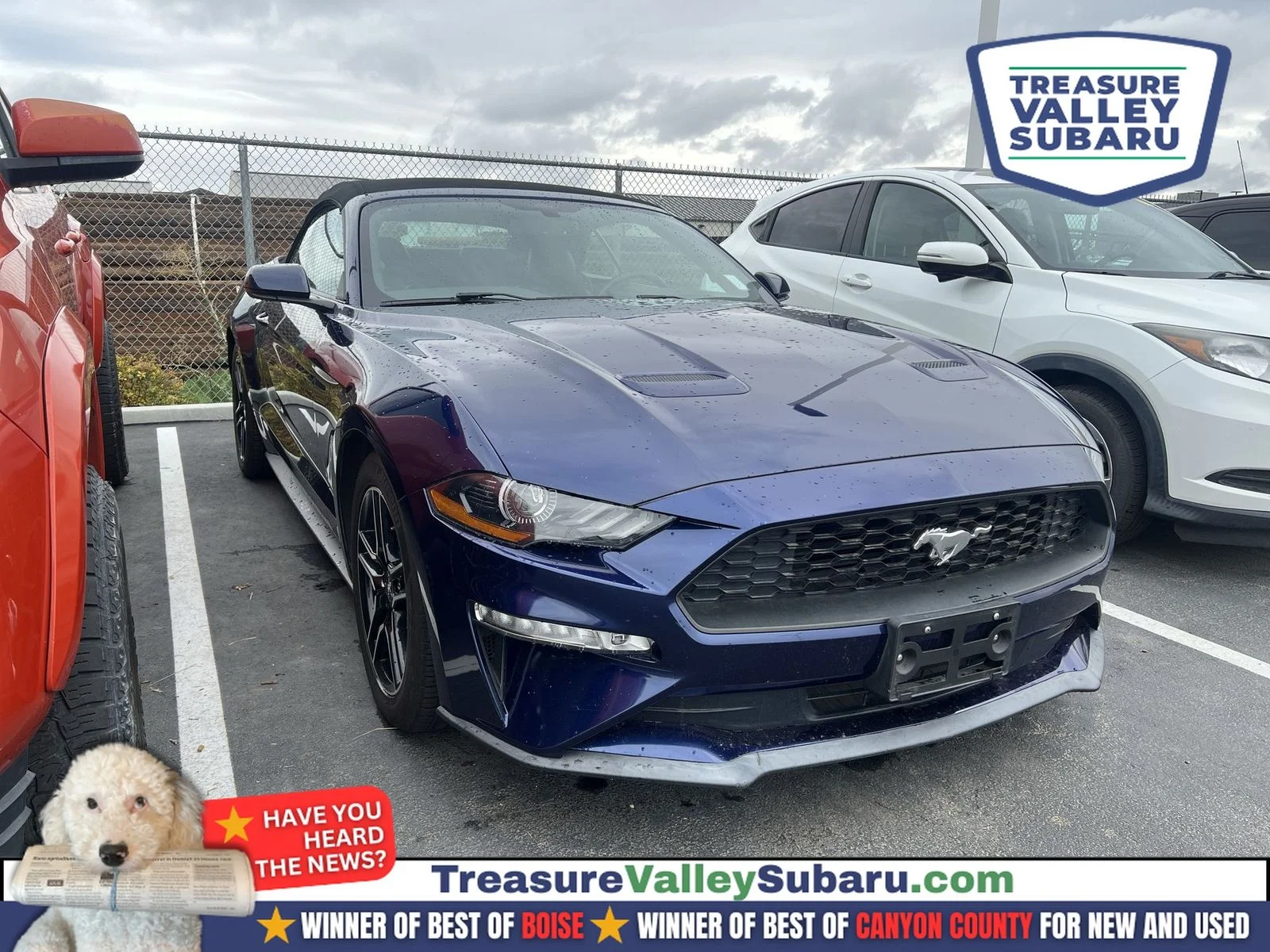 Used 2019 Blue Ford EcoBoost Premium image 1