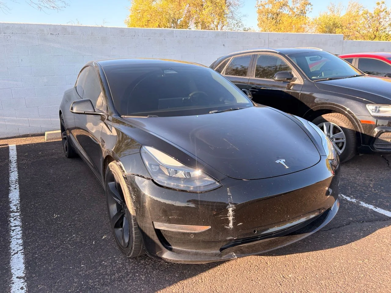 Used 2022 Solid Black Tesla Base image 4